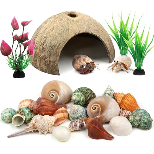 QUOZUO Hermit Crab Shells - Natural Coconut Shell Hut with Artificial Plants, Seashells for Crab Tank Hideouts - 22 PCS