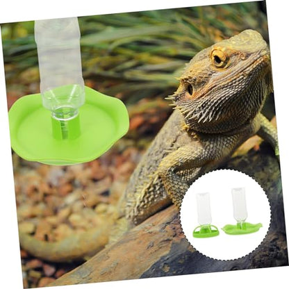 Toddmomy 2 Sets Reptile Water Feeders Durable Pet Food Holder for Lizards Tortoises and Geckos Water Dish for Daily Use and Easy Feeding Terrariums Green