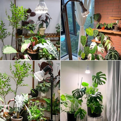 SANSI Dimmable Grow Light Bulb Full Spectrum, High PPFD 30W Grow Bulb (450 Watt Equiv) with Remote, Auto On Off Timing 4 8 12 Hrs, Energy Saving Plant Light Bulb with E26 Base for Indoor Plants - size: PPFD 260