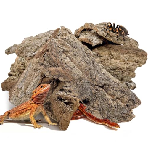 BNOSDM Reptiles Cork Bark Substrate,0.7lb Bearded Dragon Champagne Cork Bark Flats Hide Climbing,Reptiles Wood Bedding Terrarium Decor Tank Accessories for Lizards Snake Gecko Tarantula Isopods（L） - size: 0.7LB - L：4.72~7.87inch