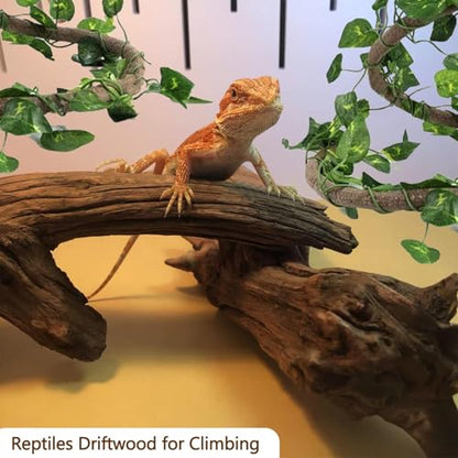 Hamiledyi 5 Pcs Reptile Plants Terrarium Hanging Fake Plant Leaves and Reptile Driftwood Branch Decor Terrarium Ornament Wood for Snake Bearded Dragon Leapord Gecko