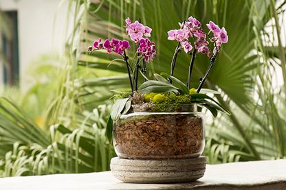 SuperMoss (23112) Orchid Potting Bark, 100% Natural White Fir Bark, 3/4", 2 Cu. Ft. - size: 3,456 Cu. In., style: 3/4"