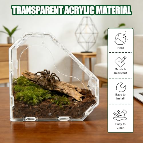 Heart Shaped Acrylic Tarantulas Enclosure, Magnetic Front Door Bug Habitat with Feeding Port, 3 Side Ventilated Bug Enclosure Kit for Geckos, Mantises, Snails, Other Small Pets