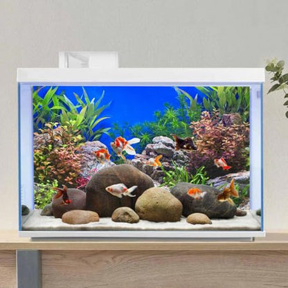 AWERT 36x20 inches Aquatic Plant Fish Tank Background Stone River Bed & Lake Aquarium Background Vinyl - size: 36x20in/90x50cm