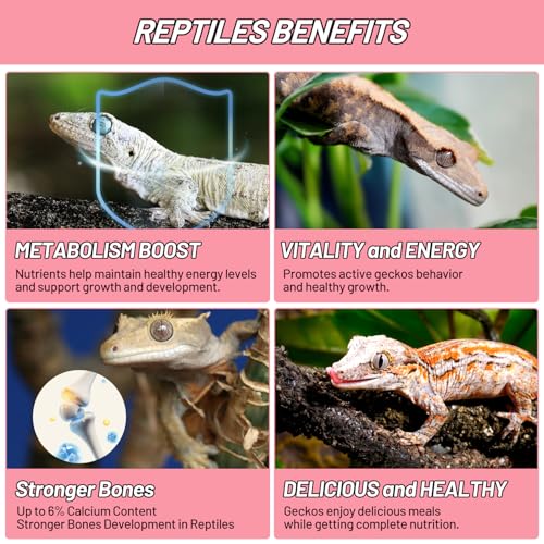 Crested Gecko Food, Fruit Mix Watermelon and Insects Complete Diet Gecko Food 2oz