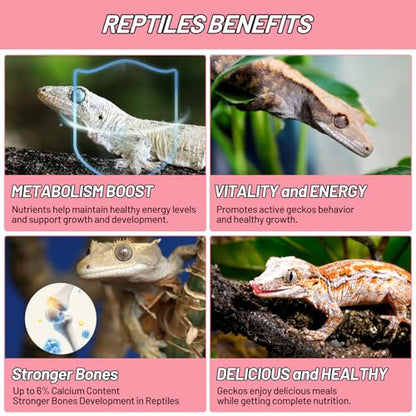 Crested Gecko Food, Fruit Mix Watermelon and Insects Complete Diet Gecko Food 2oz