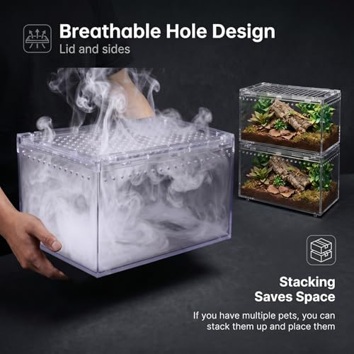 2-Pack Acrylic Terrarium, Large Tarantula Enclosure with Magnetic Lid, Escape-Proof Spider Cage, Hermit Crab Tank, Reptile Habitat for Geckos, Frogs, Isopods