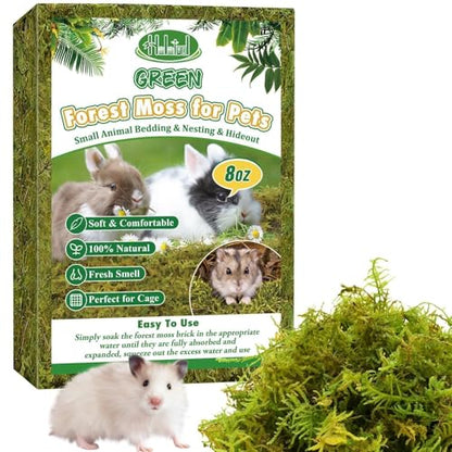 Halatool 12QT Small Animals Bedding & Nesting Material, Forest Moss for Odor Control Rabbits Squirrels Hamsters Guinea Pigs, Soft & Safe for Small Animals Cages Terrariums Reptiles Plants - size: 8oz/12qt