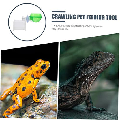 Toddmomy 2pcs Auto Water Feeder Lizard Gecko Feeder Reptile Food Bowl Drinking Basin Suction Cup Pet Supplies for Turtle Snake Spider