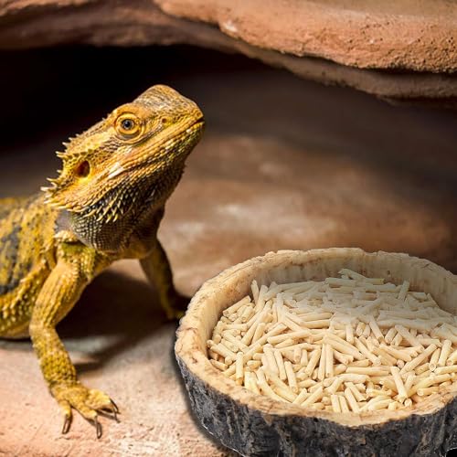 2PCS Reptile Water Dish Food Bowl Set Reptile Feeder Food and Water Dish with Feeding Tweezers Tong for Leopard Gecko Lizard Frog Snake Chameleon Tortoise (Style 2) - color: style 2