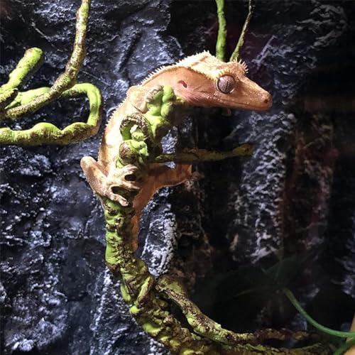 Reptile Vines Artificial Terrarium Plant Flexible Bendable Jungle Climbing Bearded Dragon Lizard Snake Gecko Chameleon Habitat Décor Plants
