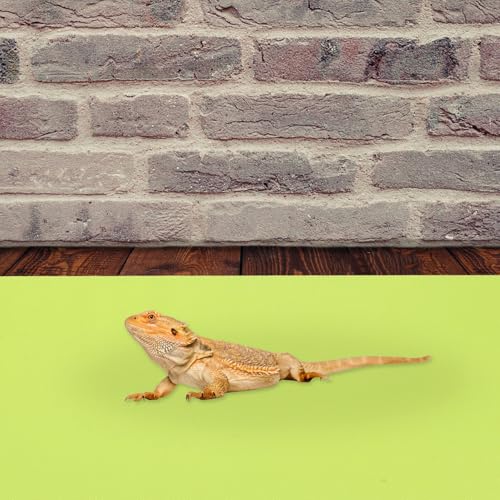 2Pcs Reptile Mat EVA Non-Stick Heat Absorbing Terrarium Bedding Pad for Tanks Floor Liner for Bearded Dragon Snakes Lizards Turtles