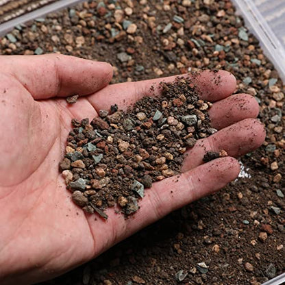 Doter Succulent and Cactus Soil Potting Mix 2.2 LBS, Bonsai Soil Mix Ready to Use, Fast Draining with Added Nutrients - size: 2.2 lbs