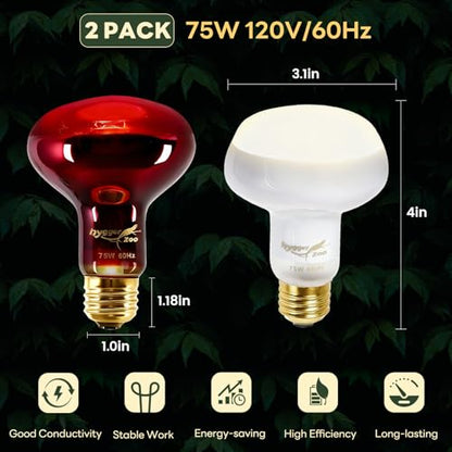 Reptile Heat Lamp Bulbs, 2 Pack 75W Reptile Heat Bulbs UVA Daylight Basking Bulb and Infrared Heat Lamp Red Night Light Bulb Combo for Bearded Dragon Chameleon Turtle Snake Gecko Lizard Chicken Tank - color: White & Red, size: Day & Night-75