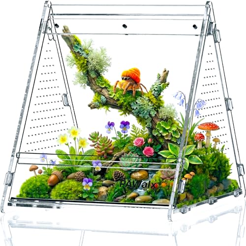 Triangular Jumping Spider Enclosure, Acrylic Terrarium with Magnetic Doors, 0.8mm Micro-Ventilation& Escape-Proof Design for Tarantulas, Lizards, Small Pets, 6.5"x7.3"x7" - size: 1pack, 6.5"x7.3"x7"