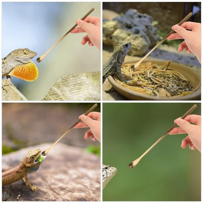 Housoutil 3pcs Reptile Feeding Spoon Handle Lizard Food Scoop for Bearded Dragons Geckos More Easy to Use for Pet Owners Gold - color: As Shown 3