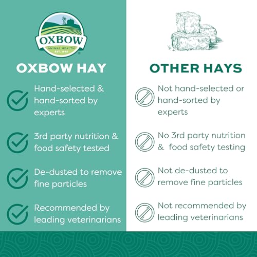 Oxbow Orchard Grass Hay for Small Pets – All-Natural Long Strand Fiber Hay for Rabbits, Guinea Pigs, Chinchillas, and Hamsters – Supports Digestive Health and Enrichment – 40 oz Bag - size: 40 Ounce (Pack of 1)