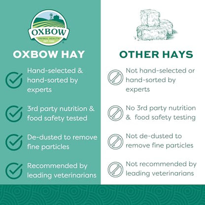 Oxbow Orchard Grass Hay for Small Pets – All-Natural Long Strand Fiber Hay for Rabbits, Guinea Pigs, Chinchillas, and Hamsters – Supports Digestive Health and Enrichment – 40 oz Bag - size: 40 Ounce (Pack of 1)