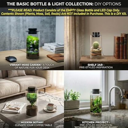 AREPK Desktop Glass Plant Terrarium with Grow Light (H:7.8" D:4"), for Succulent, Moss, Miniature Gardening Landscape, Betta Fish Tank, Office Home Decoration, Plant Lovers Gifts