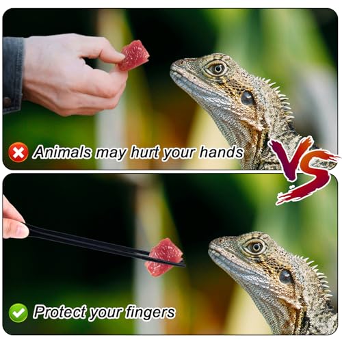2pcs Reptile Feeding Tongs, Reptile Feeding Long Tweezers Stainless Steel Extra Snake Tongs for Snake Tortoise Lizard Frog Spider