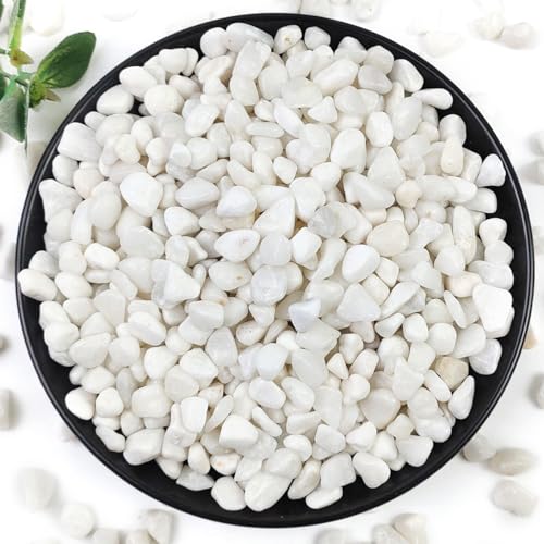 YISZM 10LB Succulent and Cactus Gravel Pebbles, 3/8 Inch Natural Decorative Polished Stones, River Rocks for Plants, Vases, Aquariums, Terrarium and Outdoor Gardening, White - color: White, size: 10 Pounds