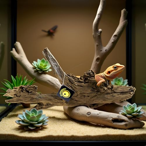 Galápagos (05287) Sinkable Driftwood Bed, Natural, Large/18-24"