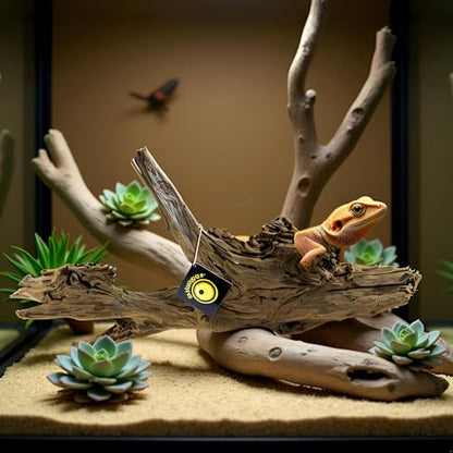 Galápagos (05287) Sinkable Driftwood Bed, Natural, Large/18-24"
