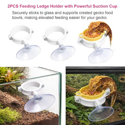 17Pcs Crested Gecko Tank Accessories Kit – Feeding Ledge with Strong Suction Cups, Blue Hideout Tray, Plastic Feeding Bowl, 6 Cresteds Geckos Cups & Crested Gecko Spoon
