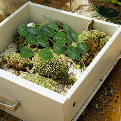 BESPORTBLE Reptile Terrarium Plants Fake Vines with Suction Cup Hanging Leaves Artificial Environment Decorations for Turtle and Lizard Tank