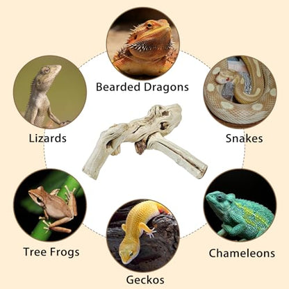 BNOSDM Reptile Branches, 5.9inch Snake Climbing Branch, Terrarium Wood Branch Decor, Bearded Dragon Tank Climbing Accessories for Lizard, Gecko, Chameleon, Frog