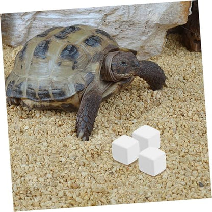 12pcs Crab Mineral Block Natural Reptile Calcium Blocks Grinding Aid for Reptiles Tortoises Lizards and Frogs Chemical- Healthy Habitat Accessories