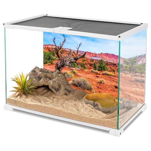 AWERT 24x12 inches Reptile Habitat Background Blue Sky Oasis Orange Desert Terrarium Background - size: 24x12in/60x30cm