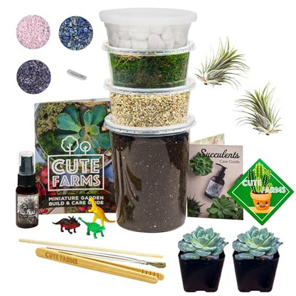 Cute Farms Terrarium Starter Kit | Moss, Vermiculite, Soil, Pebbles, Plant Food, & Finishing Tools (Large Kit + Live Plants + Crystals) - size: Large Kit + Live Plants + Crystals