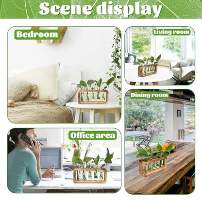 Glass Plant Propagation Station with 5 Test Tubes Colorful Planter Vase Birthday Gifts for Women in Wooden Stand - color: Green