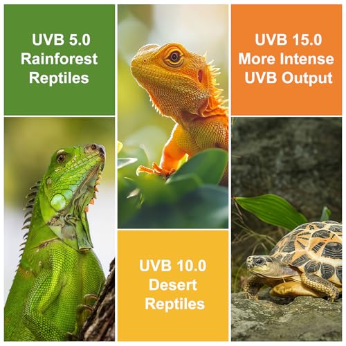 UVB Reptile Light, 10.0 15W UVA UVB Light for Reptiles, Spiral Compact Fluorescent UVB Bulb for Bearded Dragons Tortoise Lizards and Snakes - size: 5.5 in 10.0