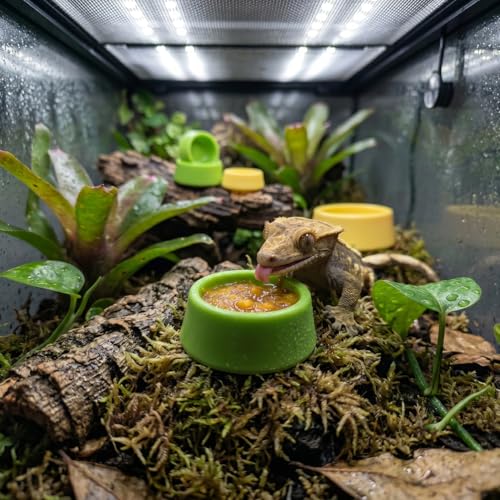 Reptile Food Dish and Water Bowl for Leopard Gecko, Crested Gecko Food Dish, Shallow Dish for Tarantula, Hermit Crab, and Small Pets - Bearded Dragon Tank Accessories