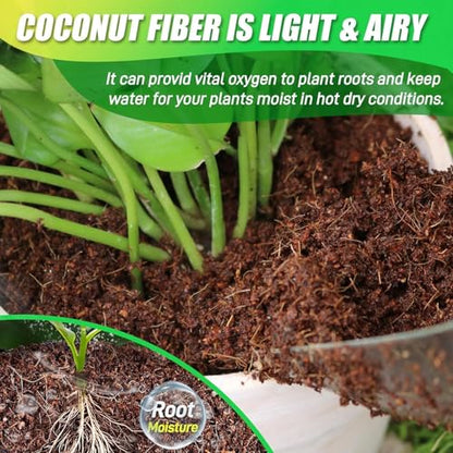 Coco Coir Brick for Plants-8 Pack Premium Coconut Bricks, 100% Organic Peat Moss, Fiber Coconut Husk for Planting, Gardening, Potting Soil Substrate - size: 8pcs