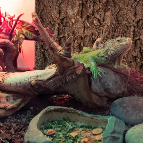 Toddmomy 4pcs Bark Fish Tank Decoration Versatile Terrarium Climbing Bark for Snake and Gecko Habitat Safe Materials for Reptile and Aquarium Setup Trimmable Design for - size: 4pcs