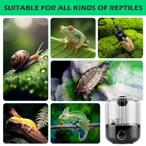 Reptile Humidifier Fogger, 3L Visible Tank Reptile Miste-r for Reptile & Amphibians Terrariums, with Hose Nozzle for Bearded Dragon/Lizard/Gecko/Snake/Tortoise/Moss