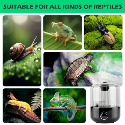 Reptile Humidifier Fogger, 3L Visible Tank Reptile Miste-r for Reptile & Amphibians Terrariums, with Hose Nozzle for Bearded Dragon/Lizard/Gecko/Snake/Tortoise/Moss