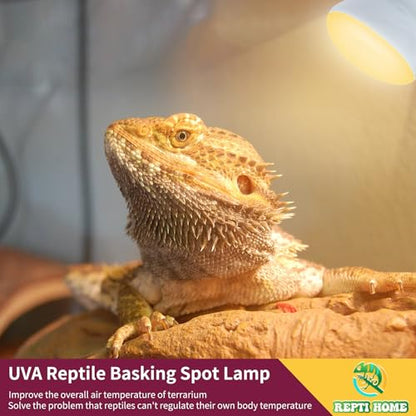 150W Reptile Heat Lamp Bulb 2 Pack,Basking Spot Lamp Bulb for Reptiles & Amphibians，Reptile Daylight Heat Bulb for Bearded Dragon, Lizard, Turtle - size: 150*2