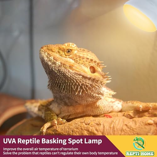 150W Reptile Heat Lamp Bulb 2 Pack,Basking Spot Lamp Bulb for Reptiles & Amphibians，Reptile Daylight Heat Bulb for Bearded Dragon, Lizard, Turtle - size: 150*2