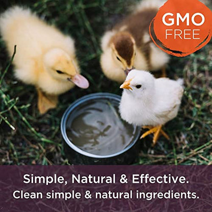 Dr. Connie's Probiotic + Electrolyte Powder for Chickens, Ducks, Goats, Poultry & Livestock | Natural Gut & Hydration Support | Veterinarian Formulated