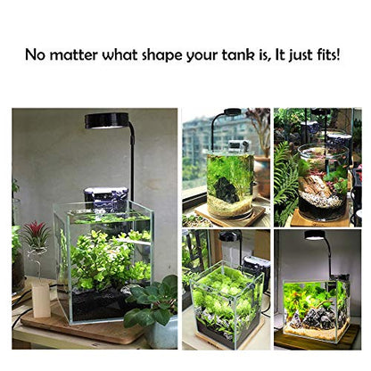 Full Spectrum LED Light with Bamboo Board, Fits Aquarium Nano Tank, Betta Fish Tank, Potted Plants, Succulents, Miniature Landscape – 7W - size: 7W