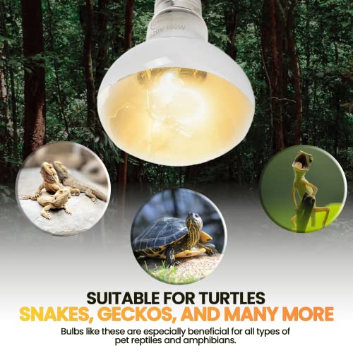 CALPALMY (4-Pack 100W Reptile Heat Lamp Bulbs - UVA Daylight Basking Light Bulbs for Reptiles, Turtles, Lizard, Bearded Dragon and Amphibians - 120V R80 Reflector Bulbs with E26 Screw Cap Base