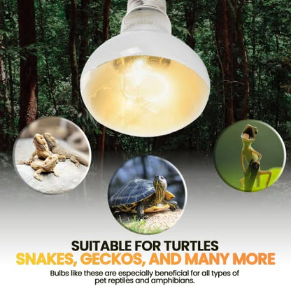 CALPALMY (4-Pack 100W Reptile Heat Lamp Bulbs - UVA Daylight Basking Light Bulbs for Reptiles, Turtles, Lizard, Bearded Dragon and Amphibians - 120V R80 Reflector Bulbs with E26 Screw Cap Base