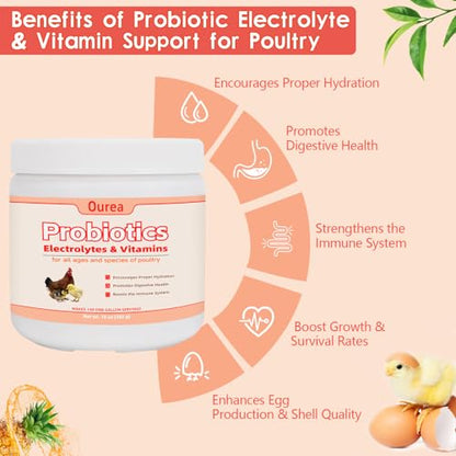 Chicken Electrolyte, Vitamin & Probiotic Supplement - Support Hydration Digestion Immunity Egg Production – Poultry Supplement for Chickens, Ducks, and All Ages of Birds – All-Season Use,10oz Powder