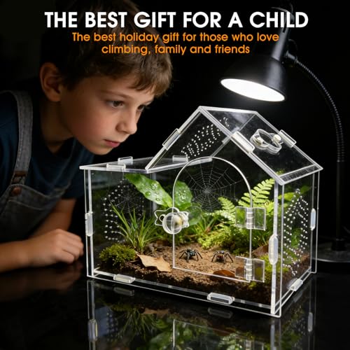 Acrylic Jumping Spider Enclosure with Magnetic Lock – Clear Ventilated Terrarium Box for Tarantulas, Geckos, Mantises, Hermit Crabs, Snails, and Other Small Pets (7.9 x 4 x 6 Inch)