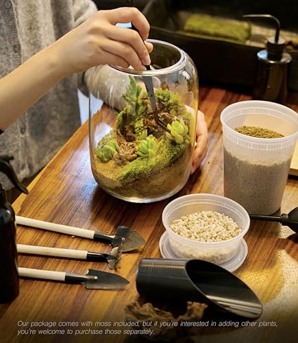 Terrarium Kit with Grow Light – 24-Piece DIY Glass Terrarium Set with Tools, Moss, Driftwood, Soil & Pebbles – Mini Gardening Kit for Air Plants, Succulents & Indoor Desk Decoration Gift - size: Round Set
