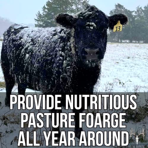 Crooked Bend Memas Moo Mix, 50LB Bulk, Farm Pasture Seed Blend for Horse, Cattle, Pig, Goat, Chicken, Duck, Sheep & Livestock, Grow Alfalfa & Perennial Grasses Fields, Graze & Cold Tolerant - size: 50 pounds